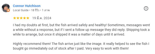 Connor Hutchison review to Nice Betta Thailand