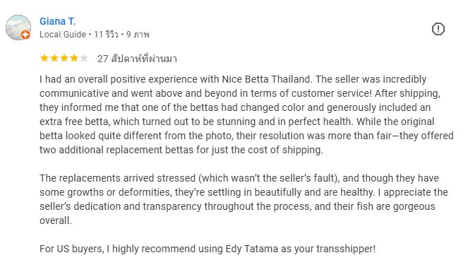 Giana T review to Nice Betta Thialand