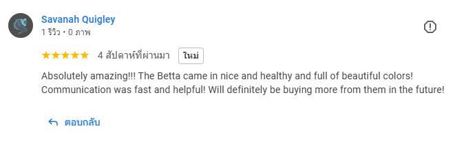 Suvannah Quigley review Nice Betta Thialand
